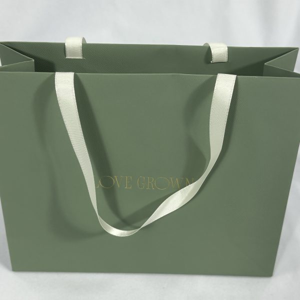 Sage Green Ribbon Handle Gift Bag | Paper Bag J008