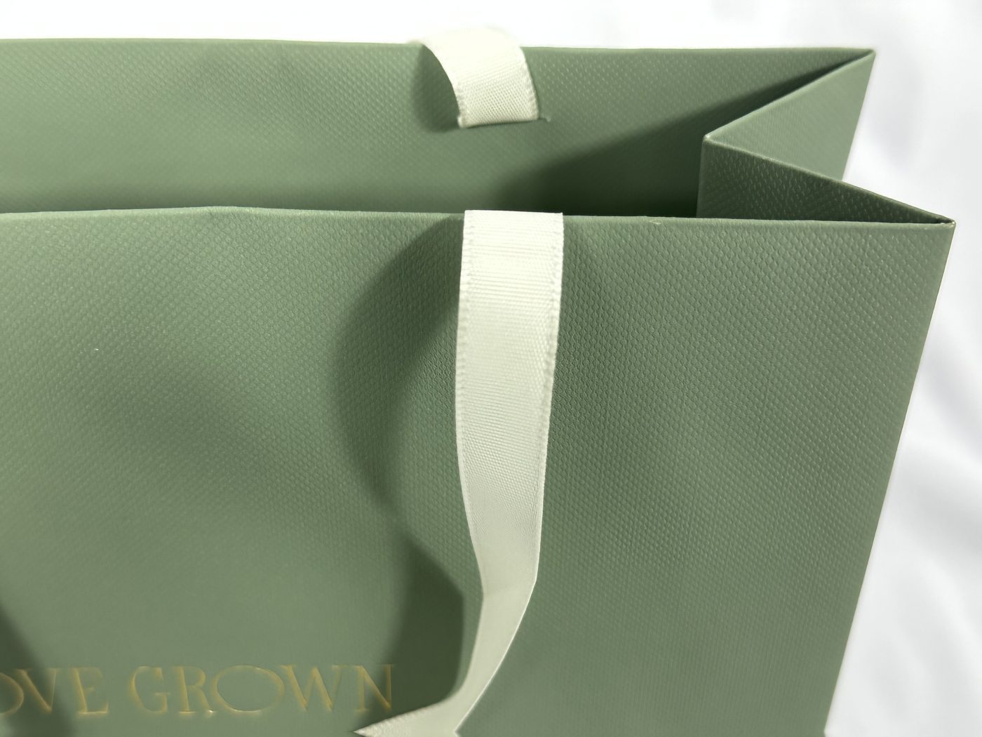 Sage Green Ribbon Handle Gift Bag | Paper Bag J006 | HJLUXEPACK custom and luxury packaging provider View 3