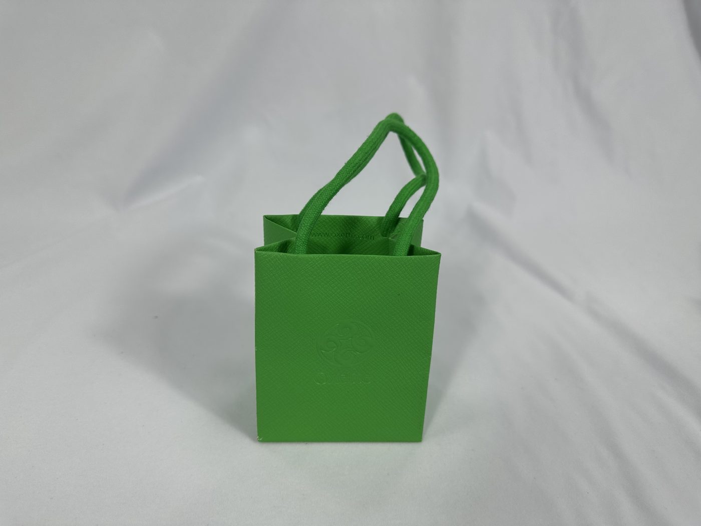 Vibrant Green Mini Rope Handle Gift Bag | Paper Bag J009 | HJLUXEPACK custom and luxury packaging provider View 1