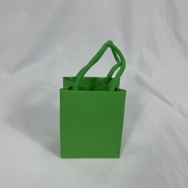 Vibrant Green Mini Rope Handle Gift Bag | Paper Bag J011